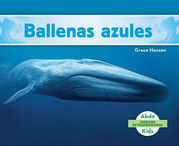 Cover image for Ballenas Azules/ Blue Whales