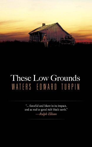 Cover image for These Low Grounds