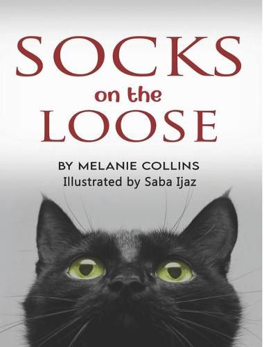 Cover image for Socks ... On the Loose