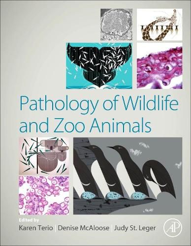 Cover image for Pathology of Wildlife and Zoo Animals