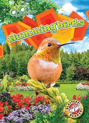 Cover image for Hummingbirds