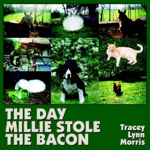 Cover image for THE Day Millie Stole the Bacon