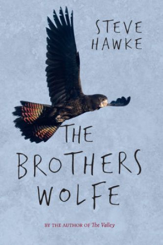 Cover image for The Brothers Wolfe