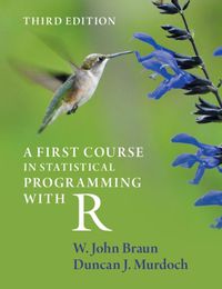 Cover image for A First Course in Statistical Programming with R