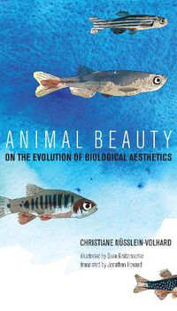 Cover image for Animal Beauty: On the Evolution of Biological Aesthetics