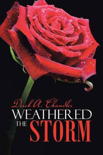 Cover image for Weathered the Storm