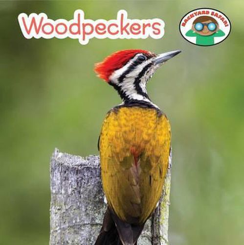 Cover image for Woodpeckers