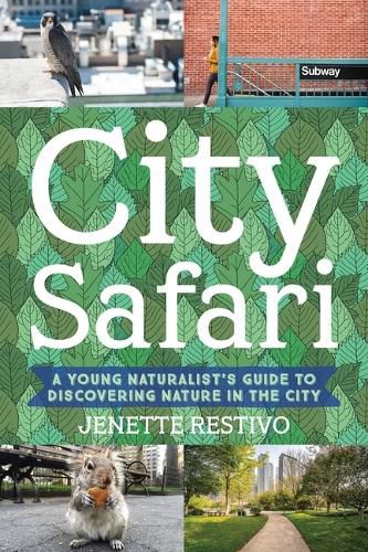 Cover image for Wild in the Streets