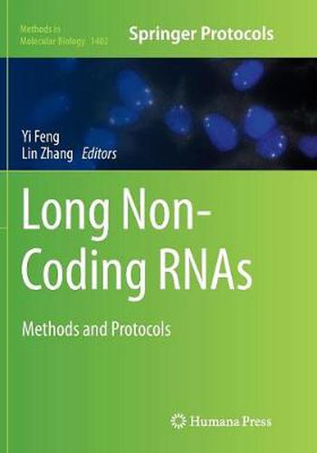 Cover image for Long Non-Coding RNAs: Methods and Protocols