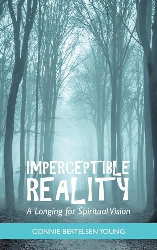 Cover image for Imperceptible Reality: A Longing for Spiritual Vision