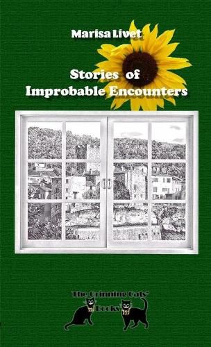 Cover image for Stories of Improbable Encounters