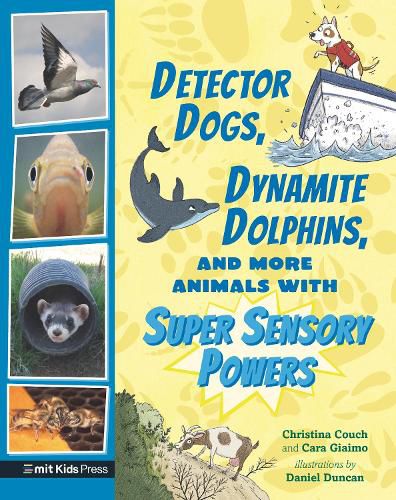 Cover image for Detector Dogs, Dynamite Dolphins, and More Animals with Super Sensory Powers