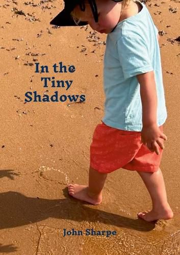Cover image for In the Tiny Shadows