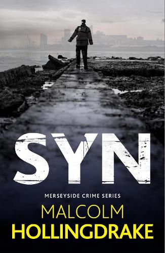 Cover image for Syn