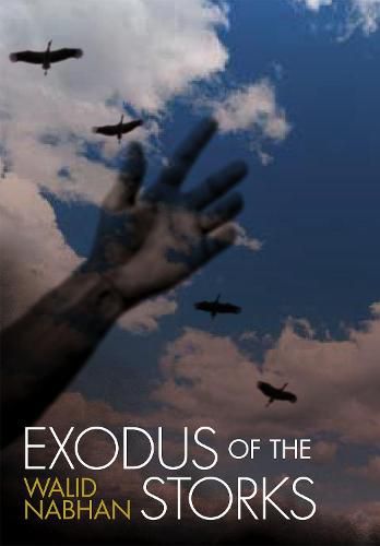 Cover image for Exodus of the Storks