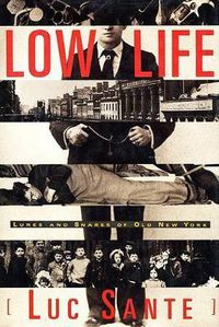 Cover image for Low Life: Lures and Snares of Old New York