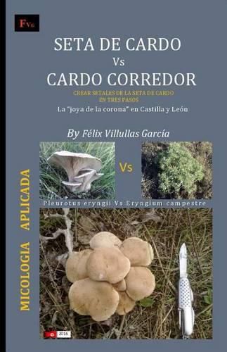 Cover image for Seta de cardo Vs Cardo corredor: Crear  setales  de la seta de cardo en su habitat natural. La  joya de la corona  en Castilla y Leon