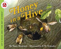 Cover image for Honey In A Hive