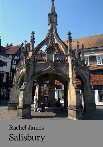 Cover image for Salisbury