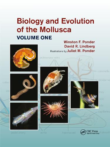 Biology and Evolution of the Mollusca, Volume 1