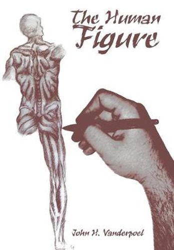 Cover image for The Human Figure