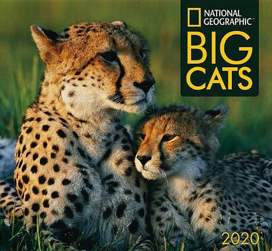 Cal 2020-National Geographic Big Cats Wall