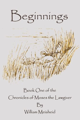 Cover image for Beginnings