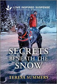 Cover image for Secrets Beneath the Snow