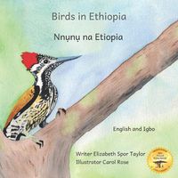 Cover image for Birds in Ethiopia