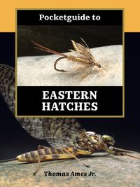 Cover image for Pocketguide to Eastern Hatches