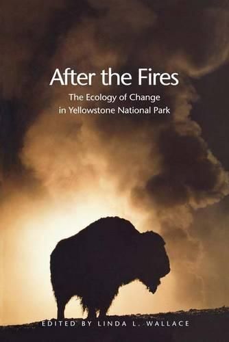 Cover image for After the Fires: The Ecology of Change in Yellowstone National Park