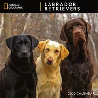 Cover image for Cal 2020-National Geographic Labrador Retrievers Wall