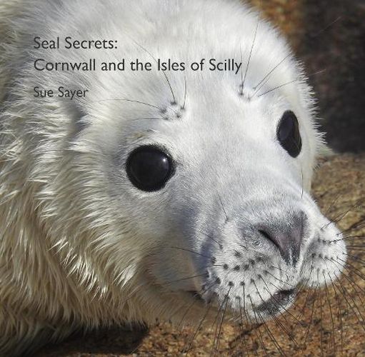 Cover image for Seal Secrets: Cornwall and the Isles of Scilly