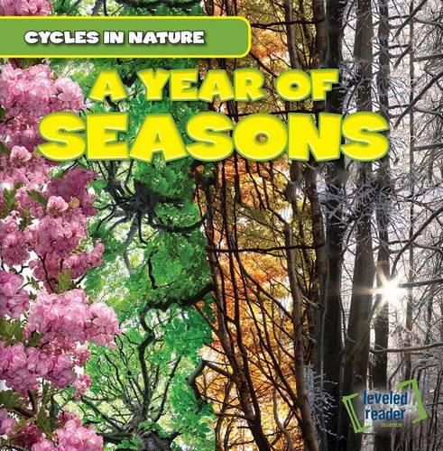 Cover image for A Year of Seasons