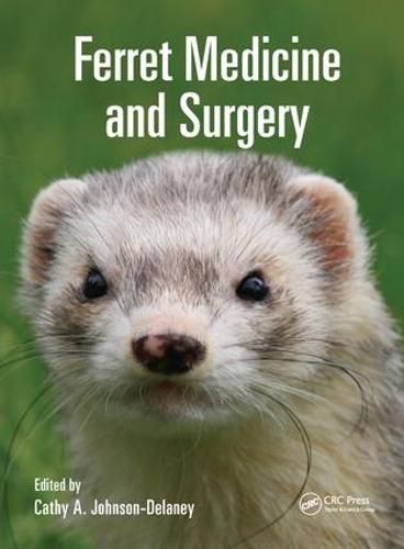 Cover image for Ferret Medicine and Surgery