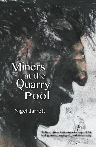 Cover image for Miners at the Quarry Pool