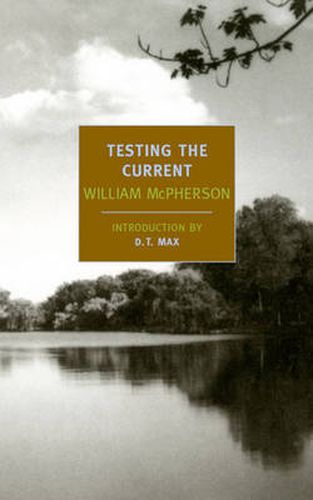 Cover image for Testing The Current