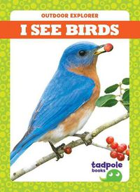 Cover image for I See Birds