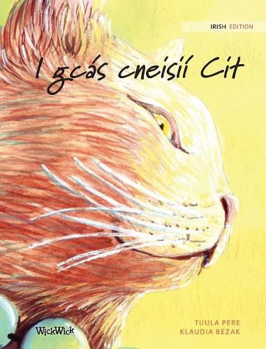 Cover image for I gcas cneisii Cit: Irish Edition of The Healer Cat