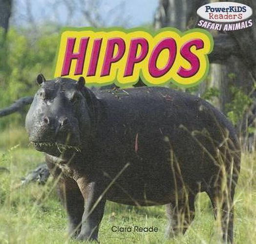 Cover image for Hippos