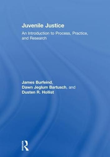 Cover image for Juvenile Justice: An Introduction to Process, Practice, and Research