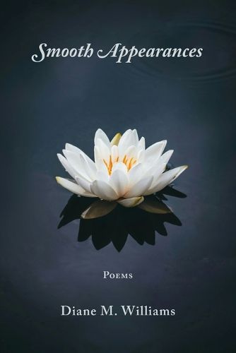 Cover image for Smooth Appearances