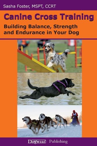 Cover image for Canine Cross Training: Building Balance, Strength and Endurance in Your Dog