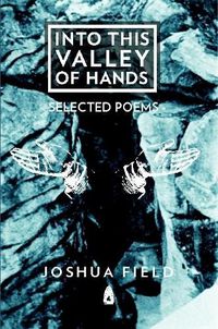 Cover image for Into This Valley of Hands