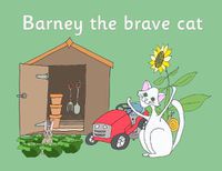 Cover image for Barney the brave cat