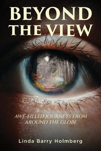 Cover image for Beyond the View