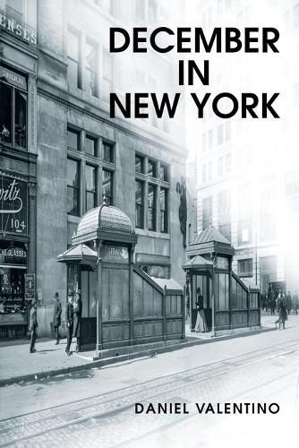 Cover image for December in New York