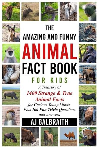 Cover image for The Amazing and Funny Animal Fact Book For Kids