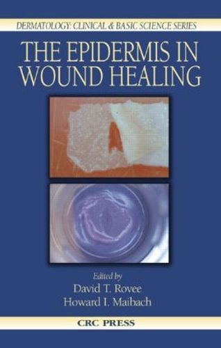 Cover image for The Epidermis in Wound Healing