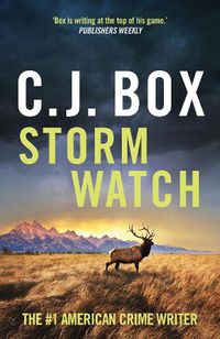 Cover image for Storm Watch